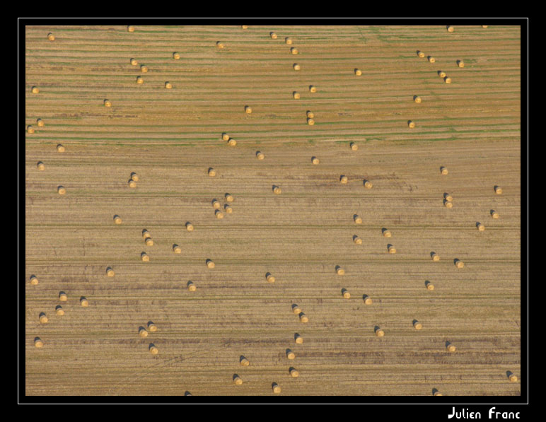 Cliquez pour voir l'image en taille relle