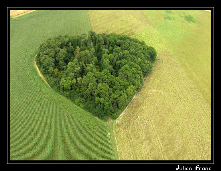 Cliquez pour voir l'image en taille relle