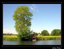 Nom du fichier : arbre sur la berge.jpg
Poids du fichier : 141Ko
Dimensions : 772x597
Ajouté le : Mai 29, 2005 arbre sur la berge.jpg