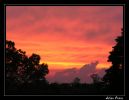 Nom du fichier : ciel de feu.jpg
Poids du fichier : 93Ko
Dimensions : 772x597
Ajouté le : Mai 29, 2005 ciel de feu.jpg