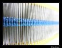 Nom du fichier : intrus.jpg
Poids du fichier : 137Ko
Dimensions : 772x597
Ajouté le : Avr 01, 2005 intrus.jpg